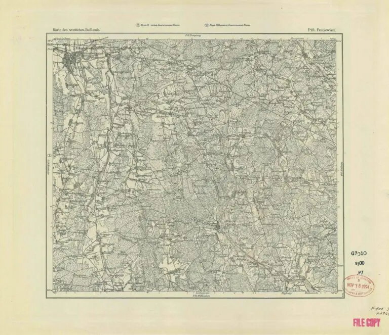 P19 Poniewież