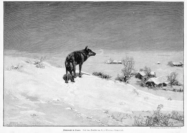 Winternacht in Litauen,
